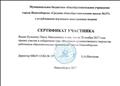 Сертификат участника:  "Фестиваля художественного творчества работников образовательных организаций города Новосибирска"