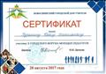 Сертификат: участник Х ГОРОДСКОГО ФОРУМА МОЛОДЫХ ПЕДАГОГОВ Выдан 28.08.2017